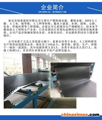 绿泰简介 模