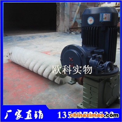电动滚刷清扫器4