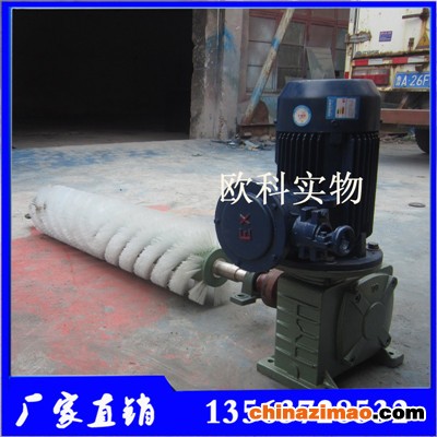 电动滚刷清扫器