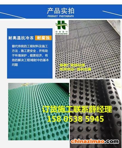绿泰产品实拍1