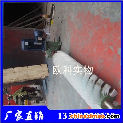 电动滚刷清扫器2