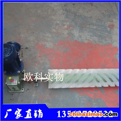 电动滚刷清扫器6