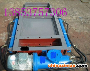 双杠电液动平板闸门