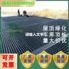 台州车库排水板防护型高分子塑料排水片材