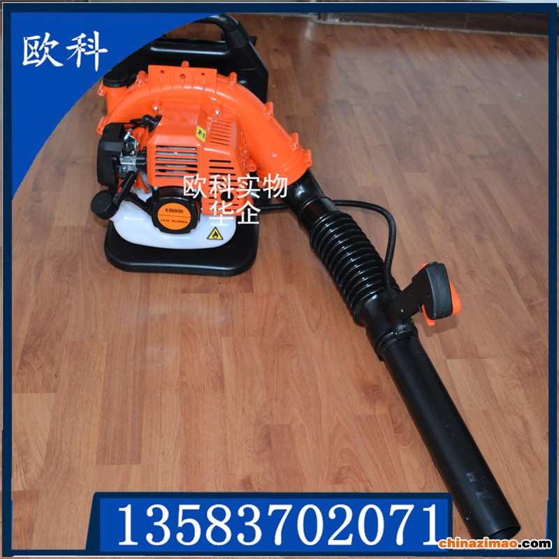 吹风机背负式 (2)