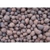 硫酰氟CAS: 2699-79-8 10KG/钢瓶 ≥99.0%介绍