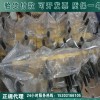 玻璃钢材质蜈蚣梯绝缘蜈蚣梯接触网蜈蚣梯铁路挂梯