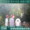绝缘杆钢锯10KV绝缘电动高枝锯IHPP-280玻璃钢高枝锯