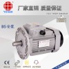 打麦机设备电机，5.5KW三相异步电机YS132S-4