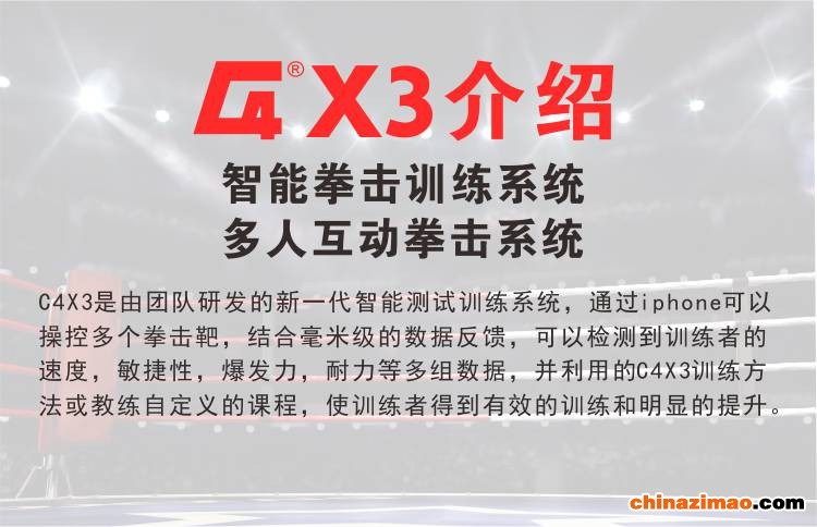 C4X3拳击靶淘宝主页详情页8