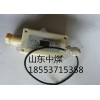 GWD60温度传感器 产品特点以及技术参数