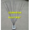 驱鸟刺规格型号大全 驱鸟刺生产厂家大全