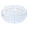 Kord 100x20mm培养碟现货促销