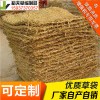 稻夫 填土草袋 桂平市草袋公司 草袋 生产厂家 整车发货