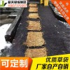 稻夫 桂平市草袋公司 草袋围堰施工 草袋 生产厂家 整车发货