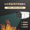 火灾隐患自动识别预警摄像头 烟雾监测报警摄像机