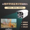 AI秸秆焚烧识别摄像机