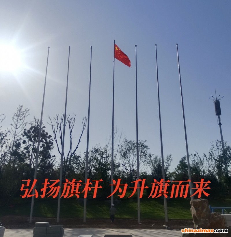 洛阳1