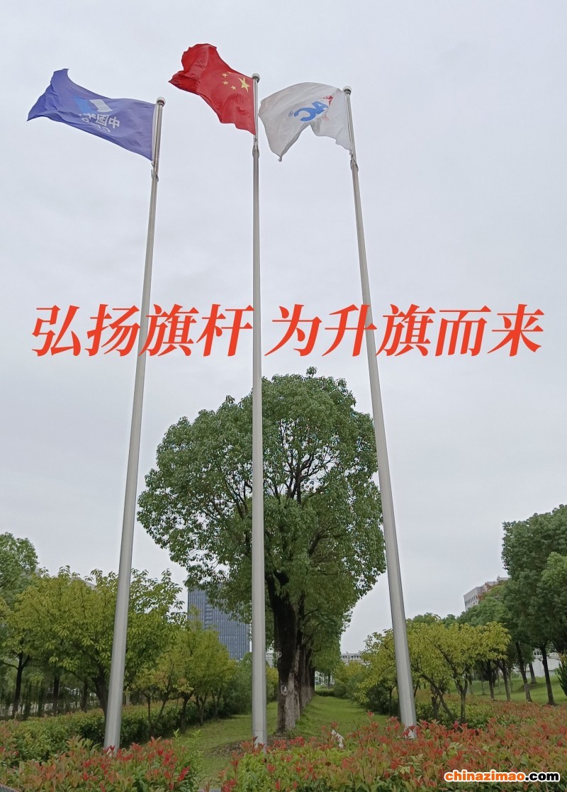 南京华电