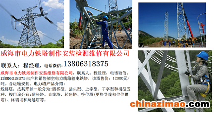 3-1-1-威海市电力铁塔制作安装维修有限公司