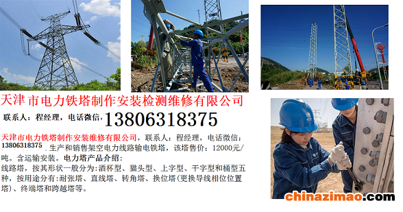 3-4-天津市电力铁塔制作安装维修有限公司 - 1