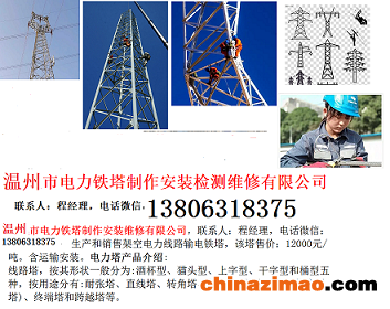 3-22-温州市电力铁塔制作安装维修有限公司-